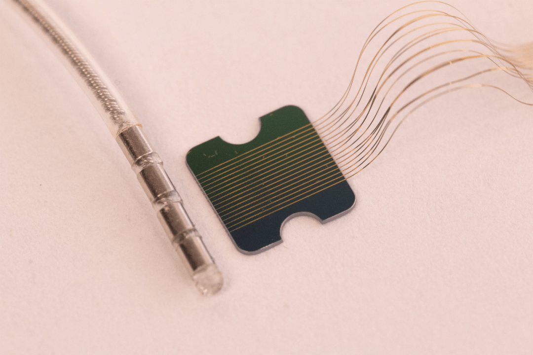 马斯克再次创造历史:硬币大小芯片植入脑中,实时读取信息.