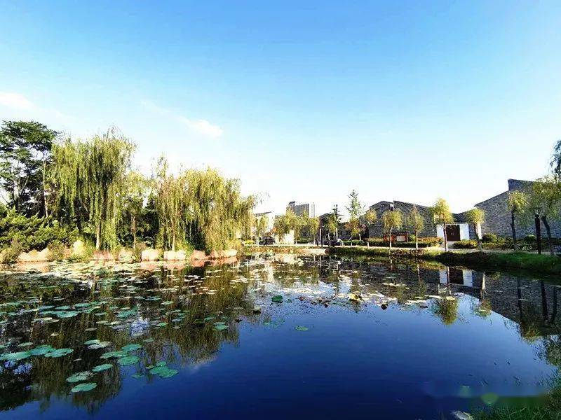 慢生活轻享受单县幵山景区解锁秋季踏青出游新玩法