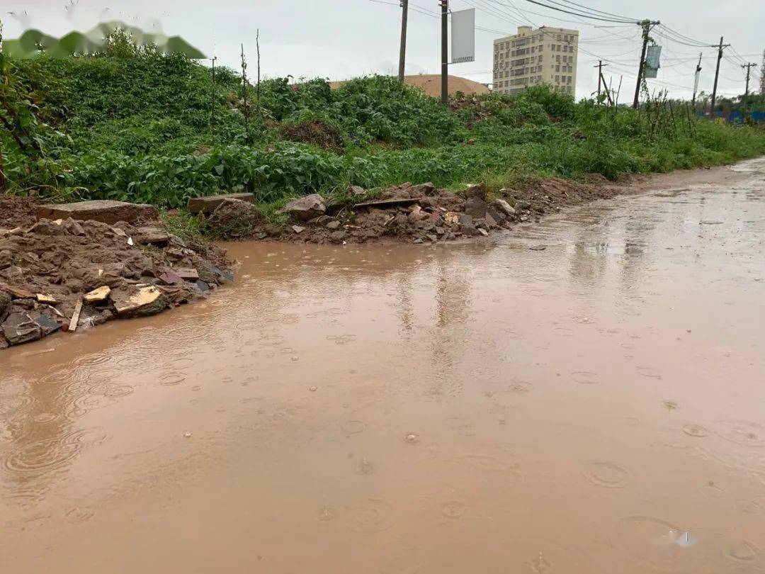 【市民爆料】龙川县新城附近一小学往铁路生活区道路遭水淹