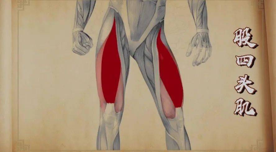 健康筋长一寸寿延十年如何解筋结看这里