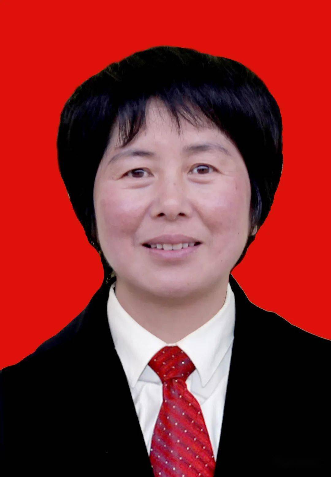 宕昌县2020年教育工作先进个人风采