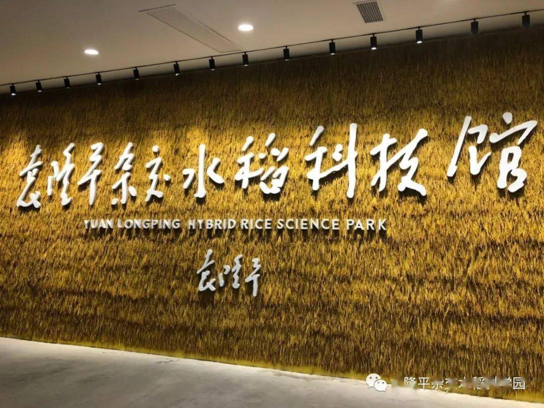 水稻科技馆,国际会议中心,户外配套高标准农田建设2000余亩建筑面积约