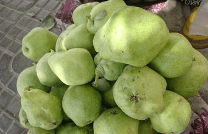 1,八角梨其实在日常生活当中,梨子并不是非常罕见的一种水果,但是新疆