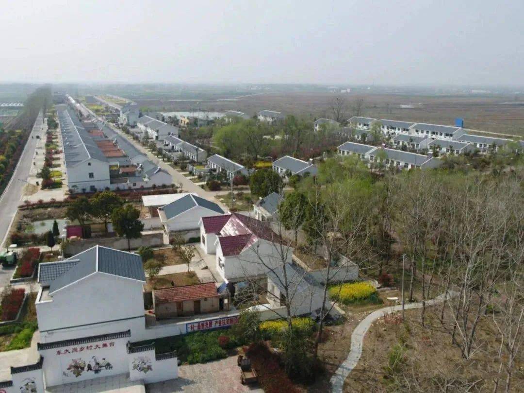 出门硬化路,抬脚上公交,村民都说好!_定远