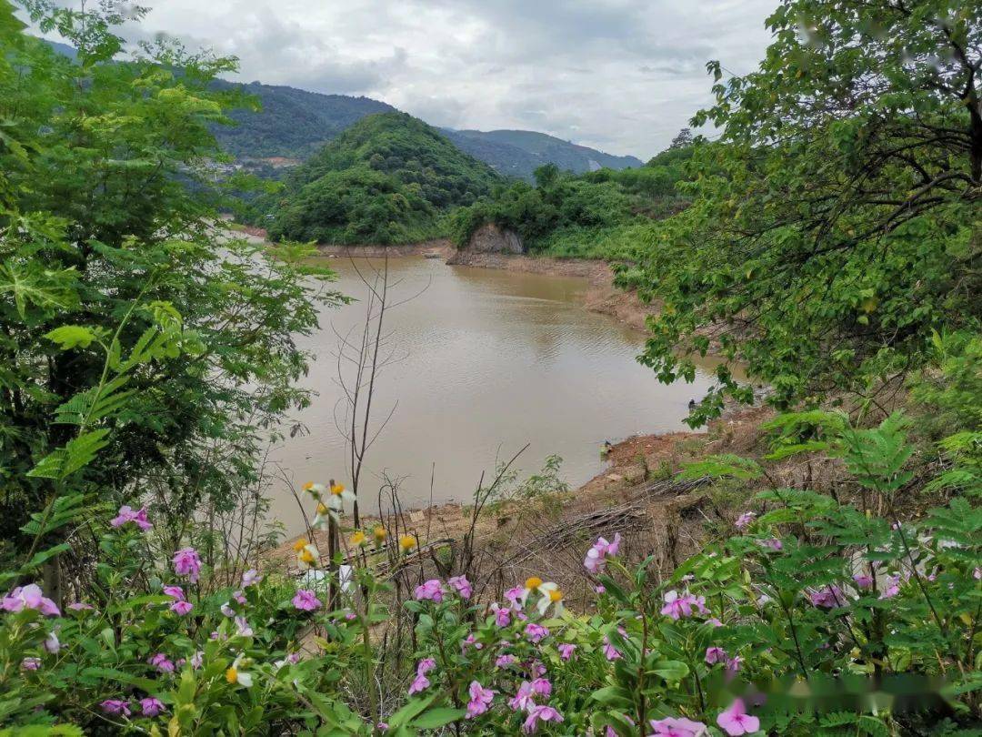红河州马堵山水库野钓休闲好地方马堵山清真野钓湾
