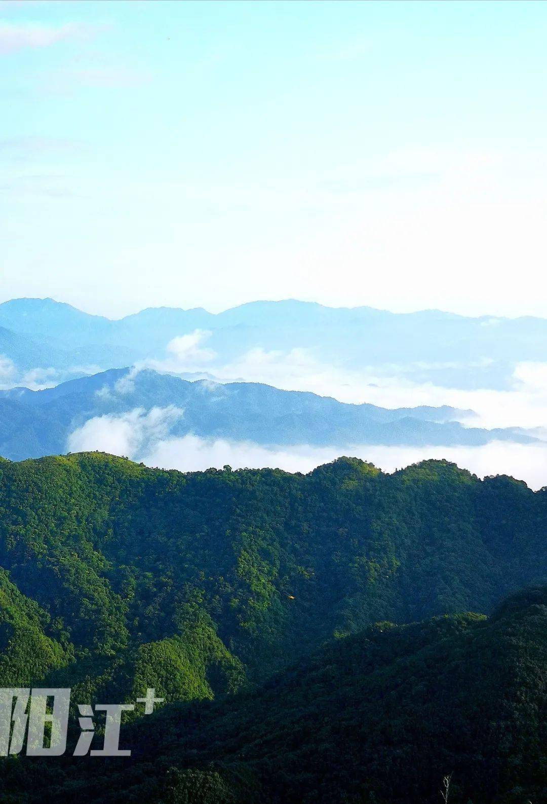 勾髻顶日出云山告诉你滨海阳江凭啥创建全国森林城市