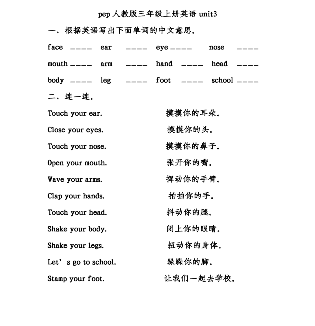 bird鸟tiger老虎 panda大熊猫 zoo动物园 funny滑稽的二,造句