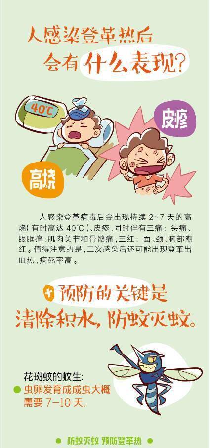 【登革热】清除容器积水,防止蚊媒滋生,预防登革热!