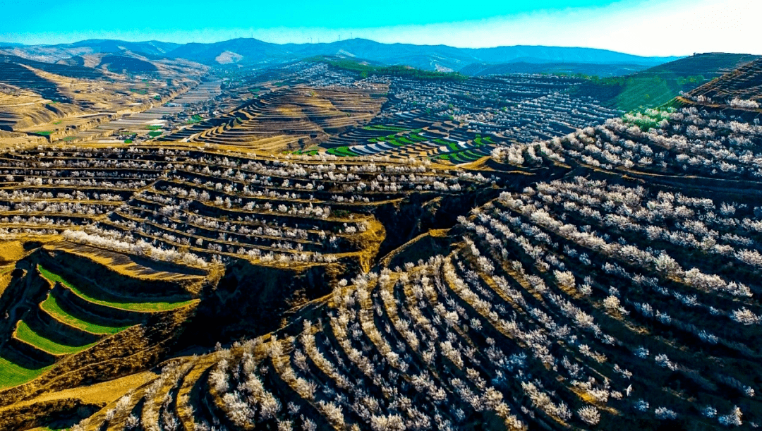 【绿水青山巡礼之一】会宁:"红嘴山"上擎起绿色梦想