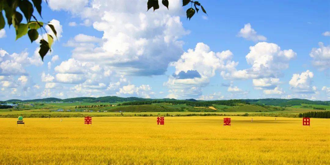丰收北大荒中华大粮仓〡十大网红大地号等您来打卡