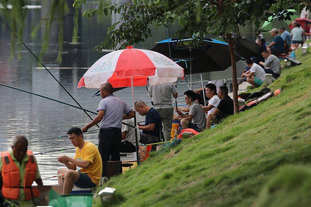 青岛:市民河边"排排坐" 周末钓鱼消遣时光_白沙河