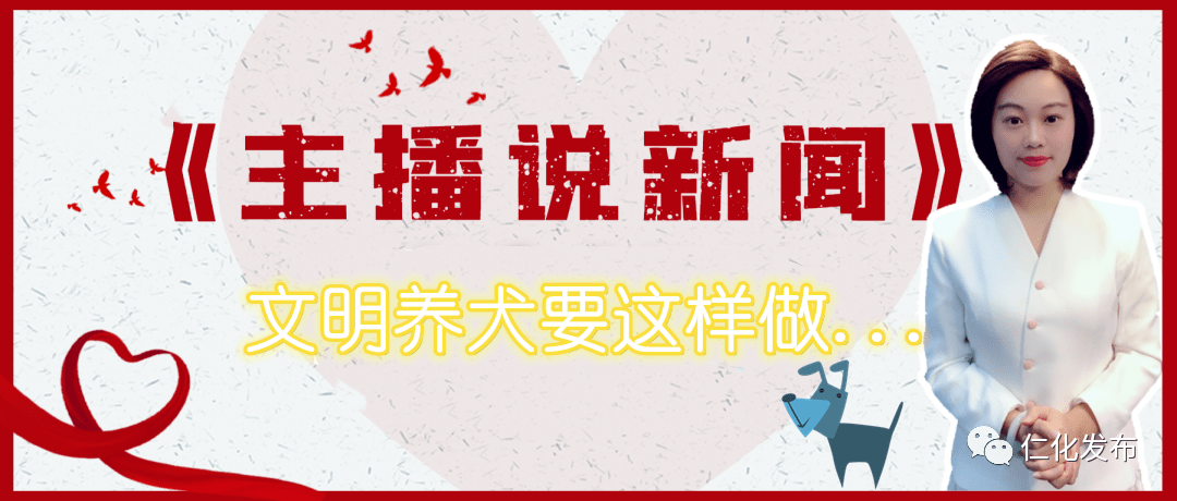 主播说新闻丨文明养犬要这样做