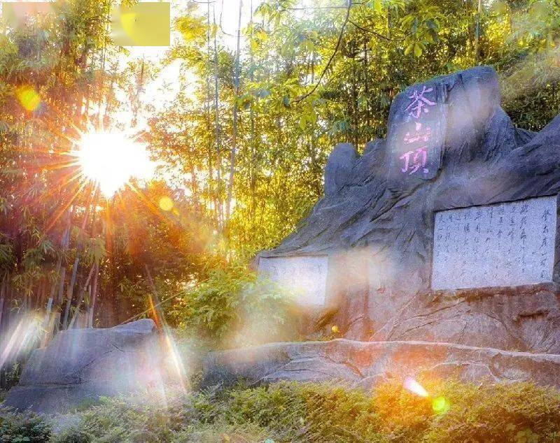 一期一景 | 带你云游茶山顶_大岭山