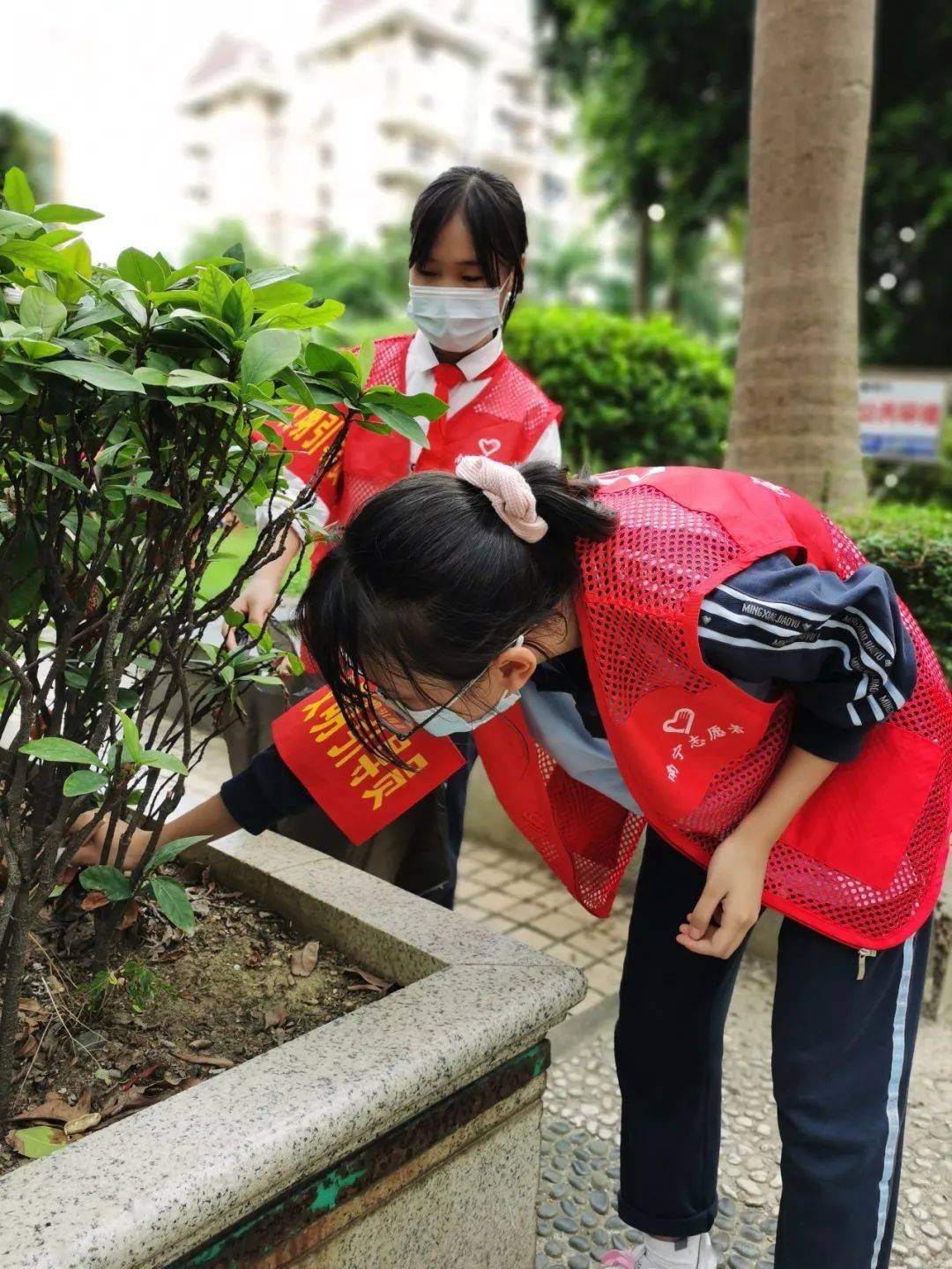 男女免费服务今日正式上线推出，引发全网热议持续发酵，众多网友纷纷留言互动，官方回应将不断完善升级优化。