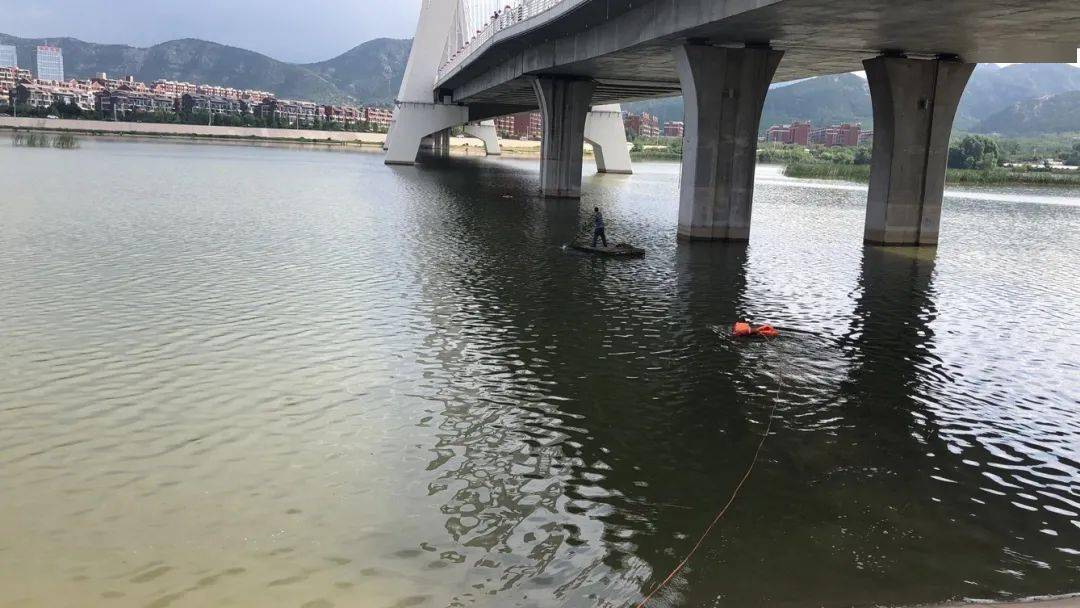 广州珠江大桥跳桥事件图片