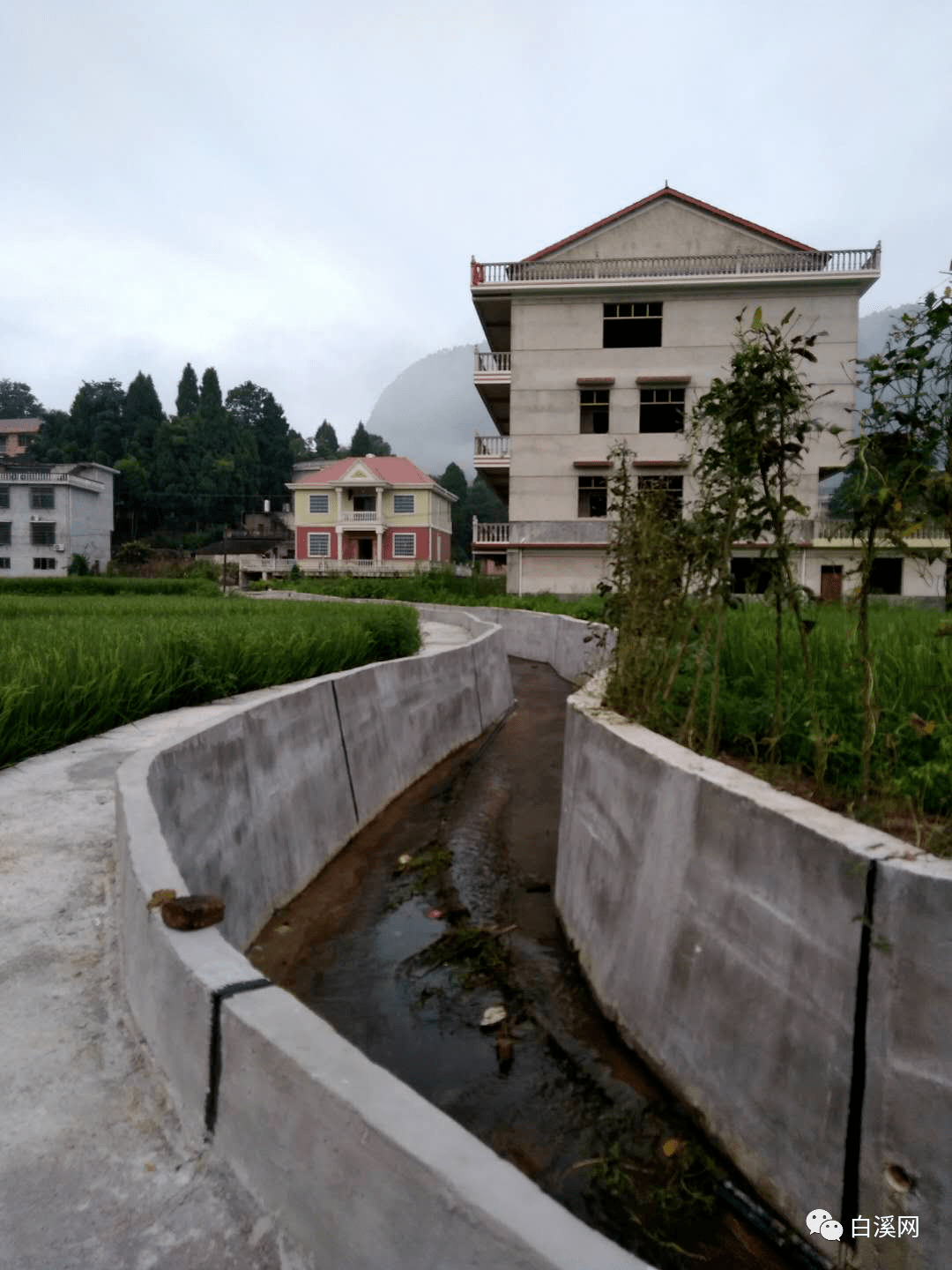 【头条】尚杰:足印在美丽的白龙村镌刻