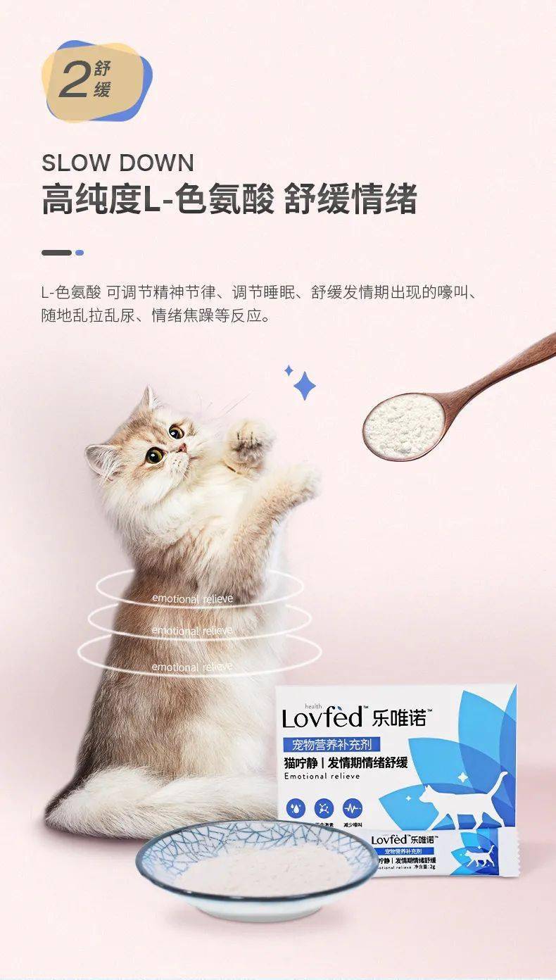 猫咪趁主人不在意偷偷跑上床睡觉没想到主人差点压到它了