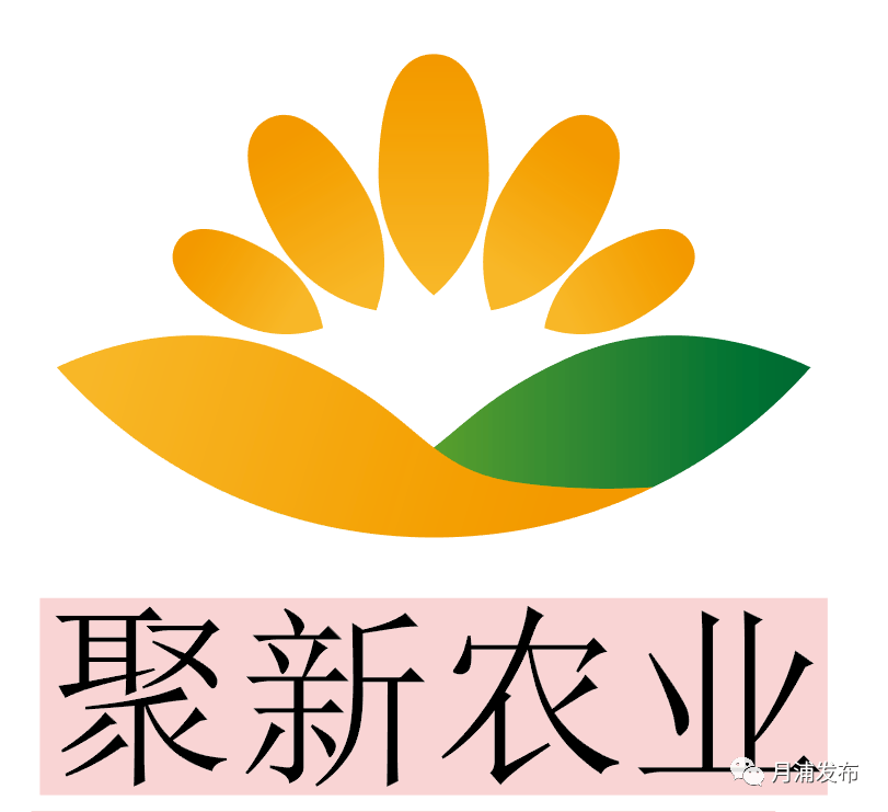 鄉村振興月浦人民有福啦家門口的農夫集市本週五開市優惠多多