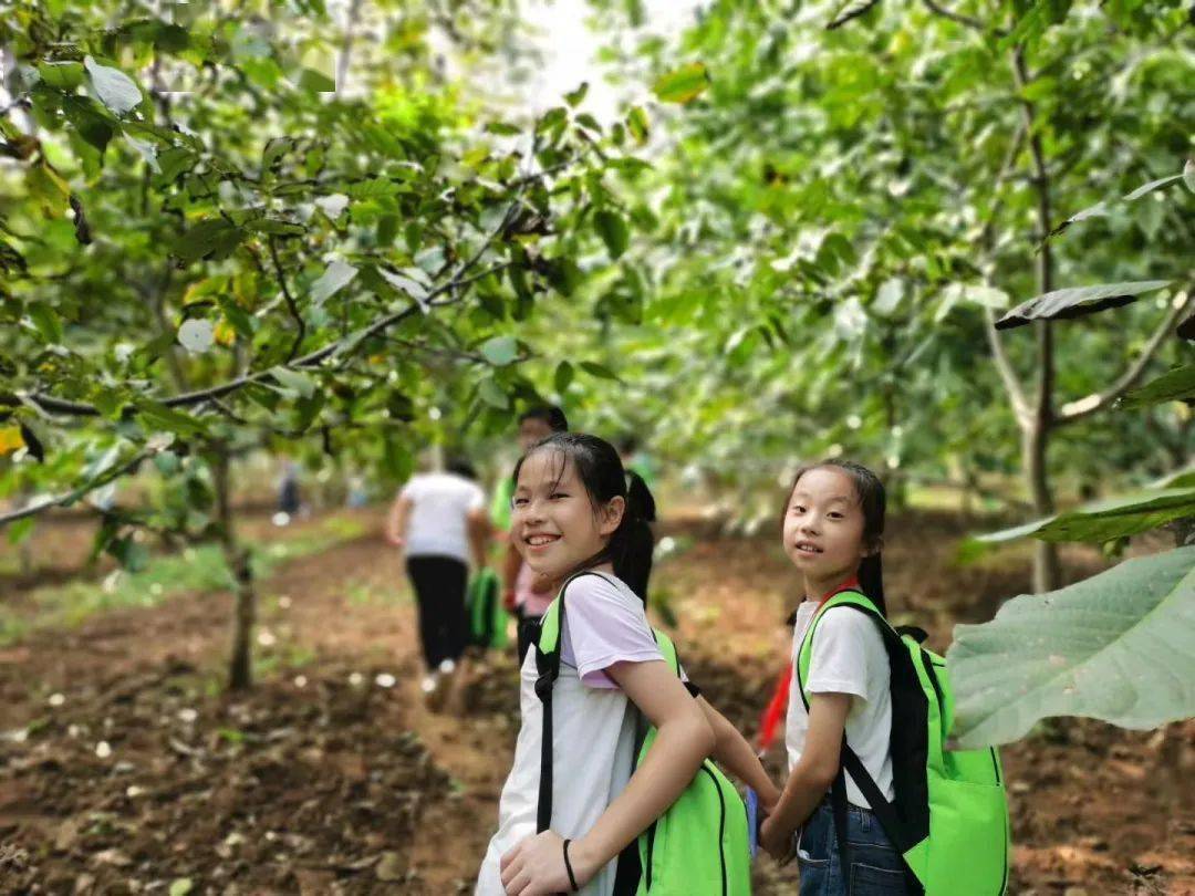 第六次活动·生态课堂】打核桃 聊城生态环境科普教育中心研学活动