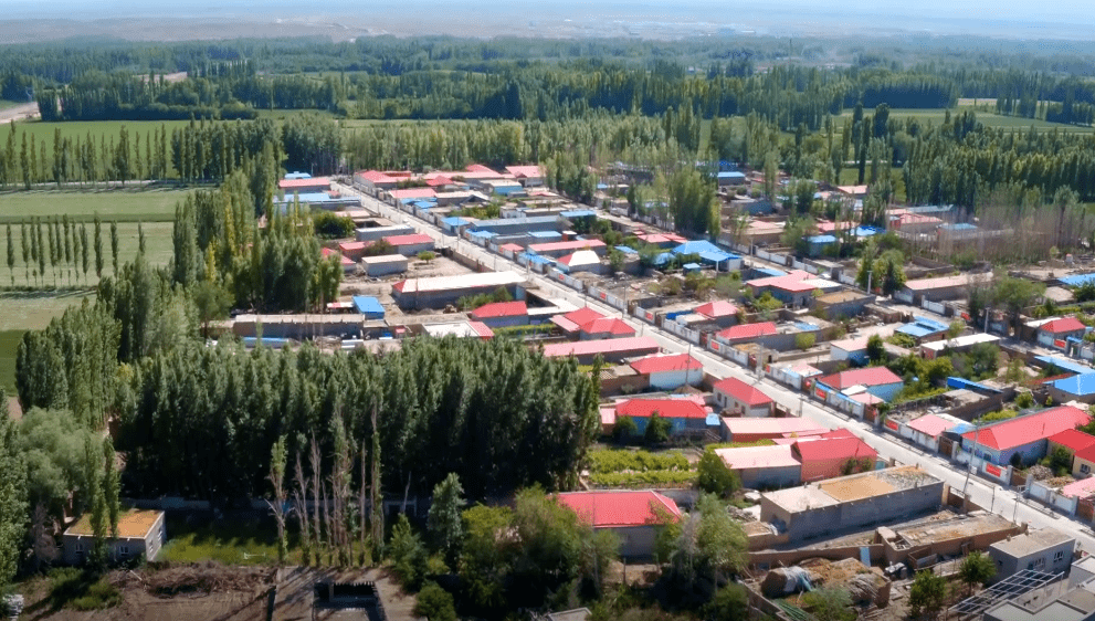 博乐市国资委驻乌图布拉格镇格尼登新村"访惠聚"工作队第一书记,工作