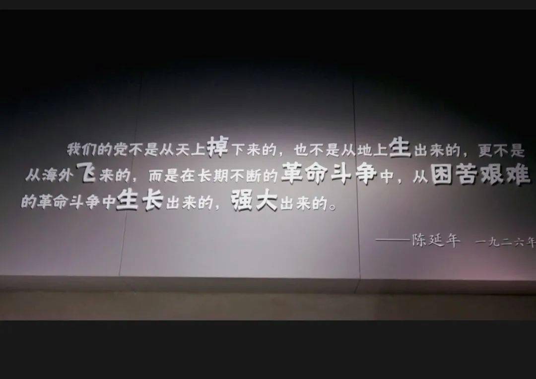 "革命者只有站着死,绝不下跪—陈延年