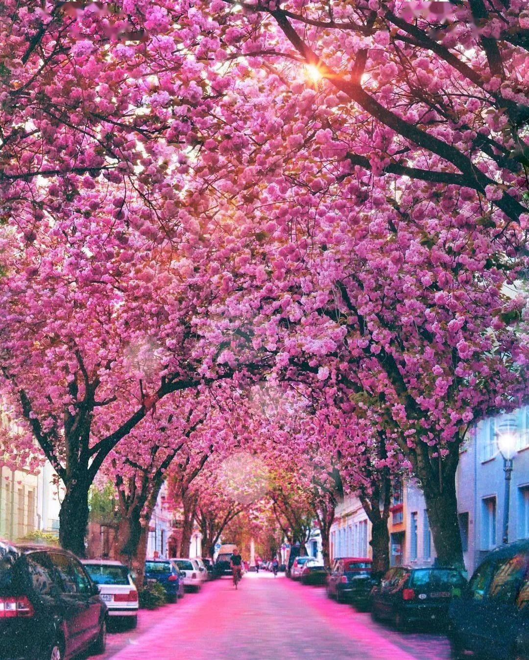 cnn选出20条世界最美街道你去过几条