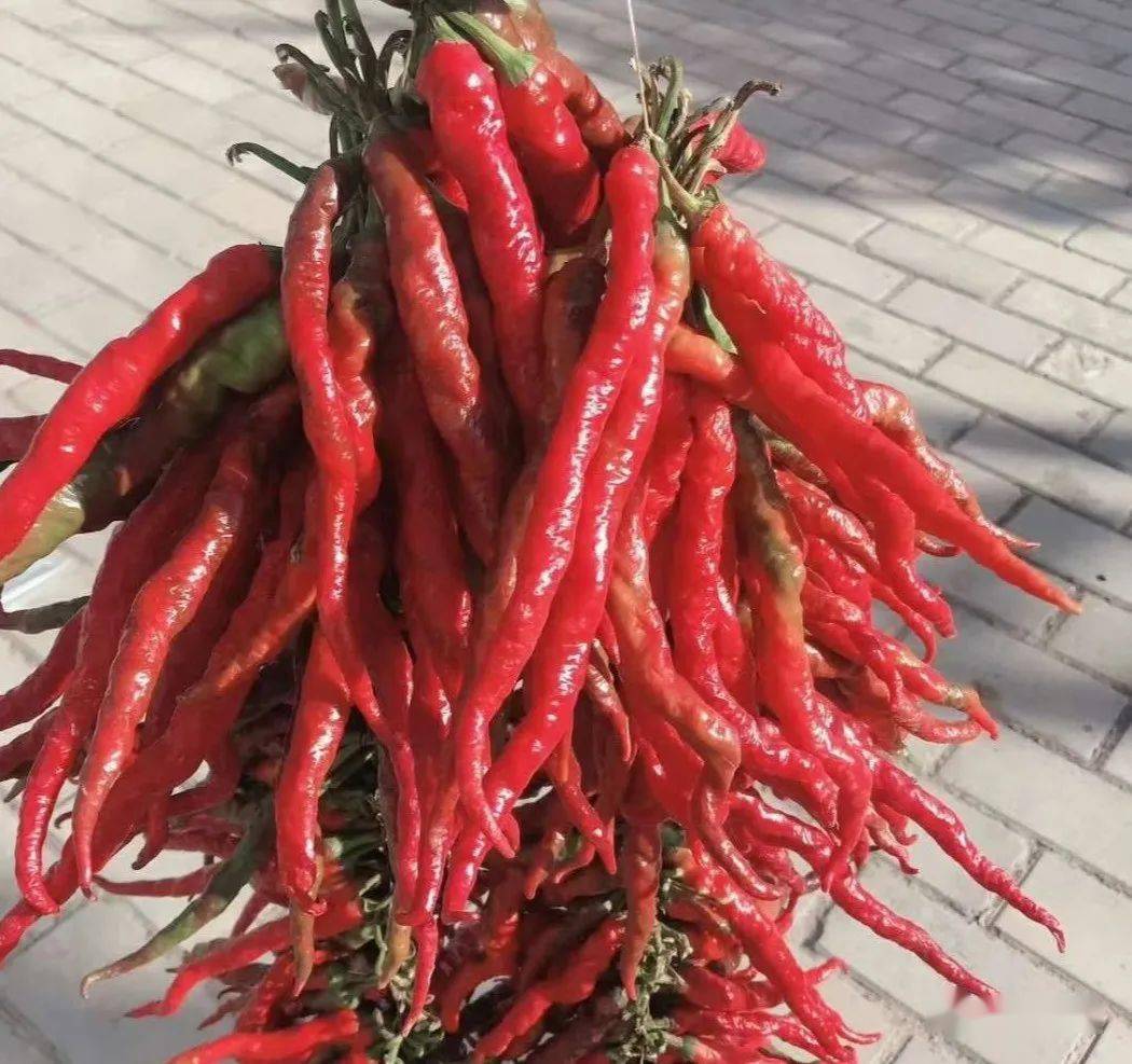 百里镇严家沟村支部引领红娘牵线有机蔬菜销售忙