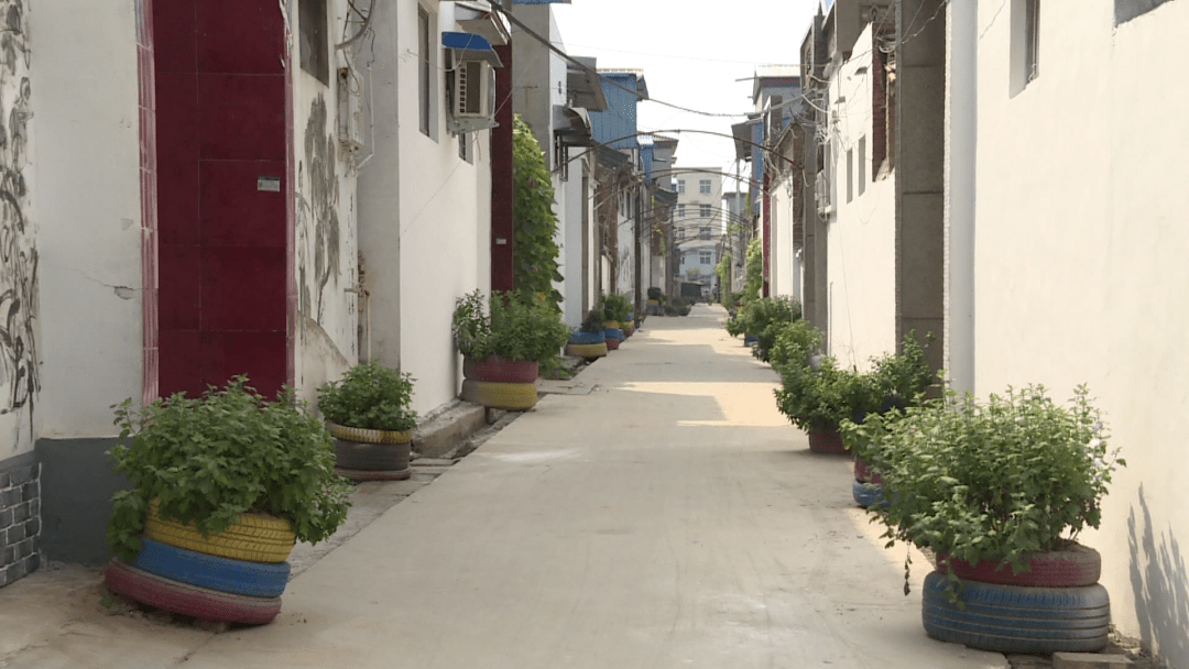 封丘耿村:开启乡村"美颜"模式 助推乡村振兴