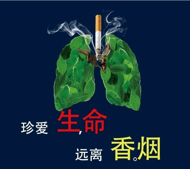 创卫进行时