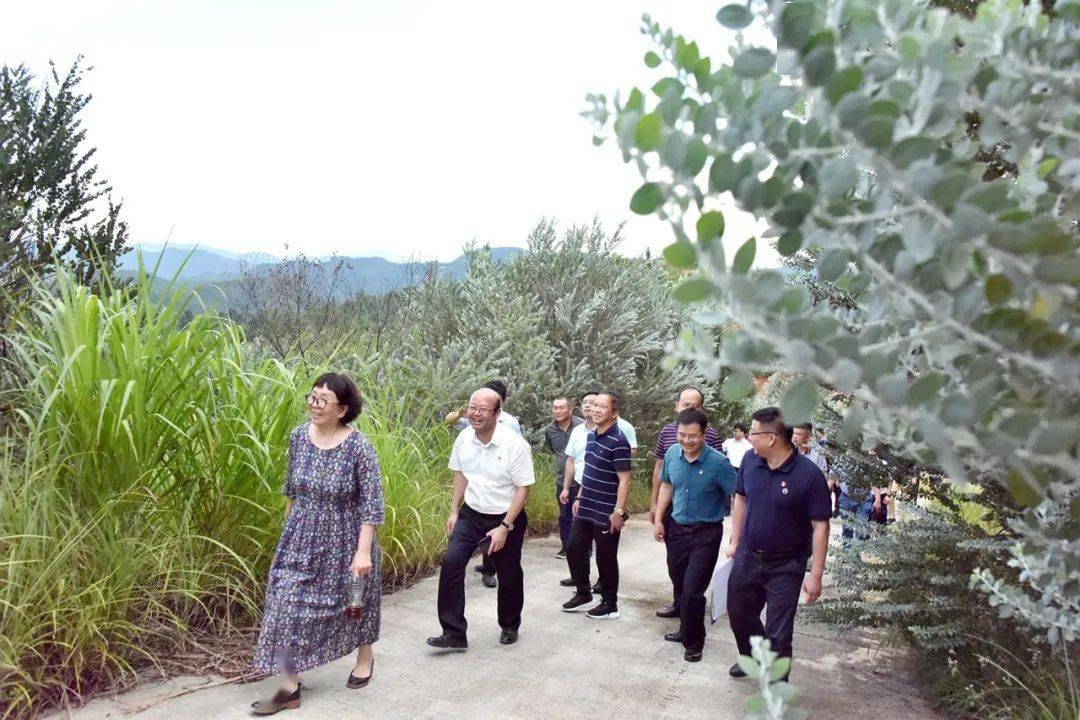 定南县赖晓强简介图片