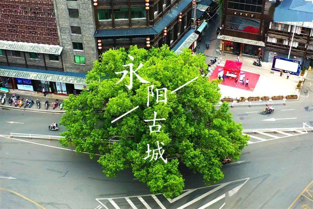 永泰的这处古城  带你穿越千年品呷老街味道