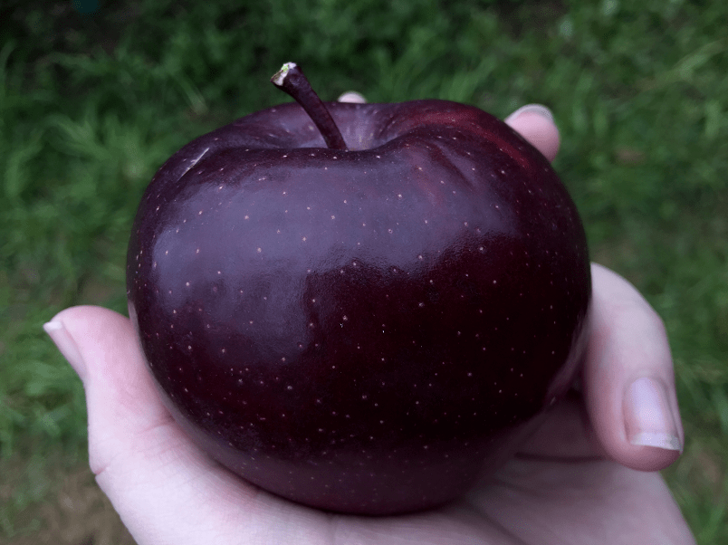 黑卡一颗闪着乌蒙之光的黑钻