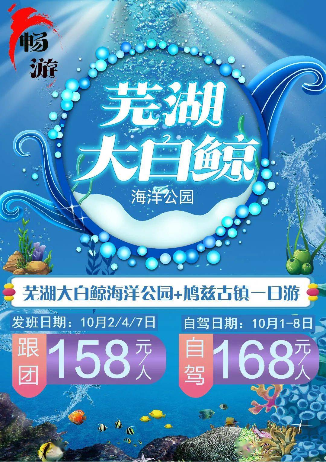 国庆推介芜湖大白鲸海洋公园鸠兹古镇亲子一日游