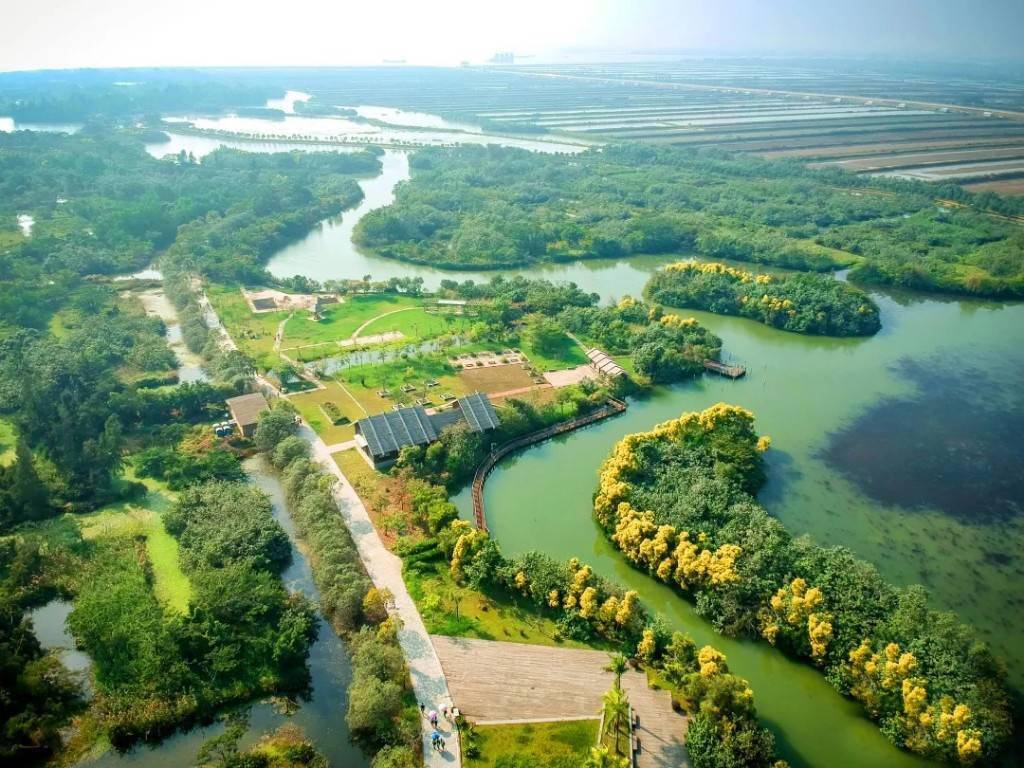 南沙湿地二期9月28日开园_生态