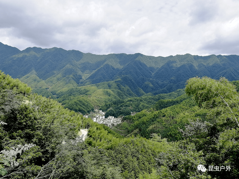 10月34日安徽白际徽开古道茶山古道二日活动