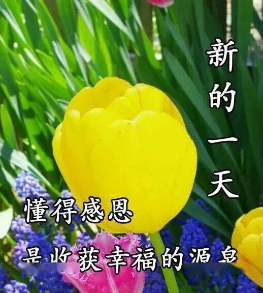 九月漂亮的早上好問候圖片帶字秋天早安祝福語大全