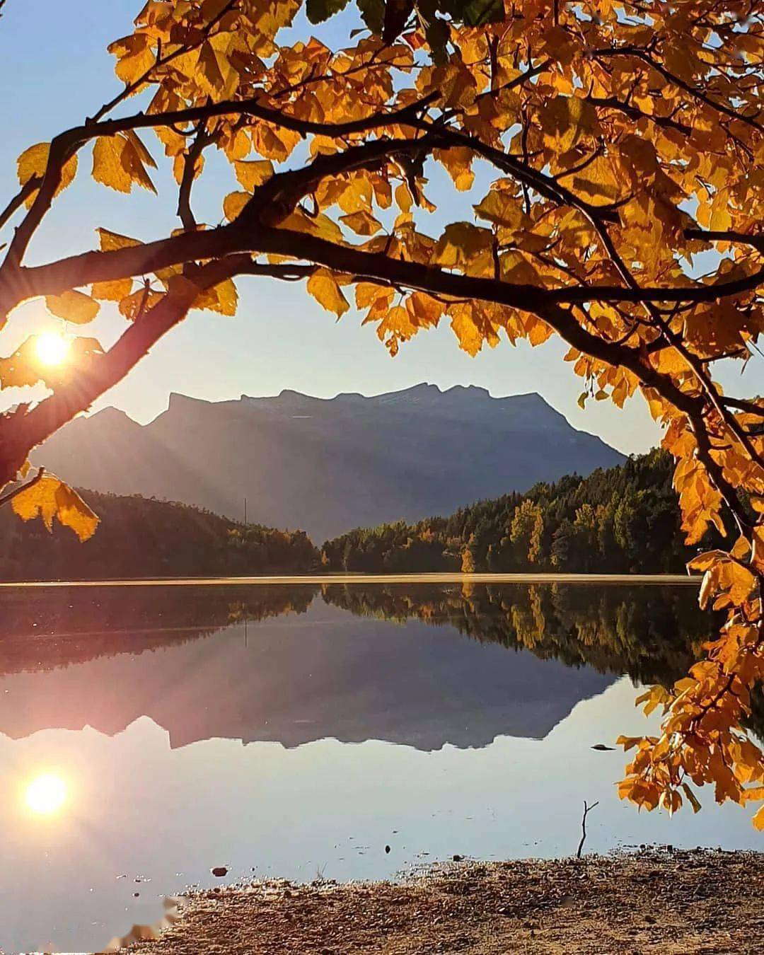 自然之窗发现更美