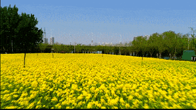 向白衣天使发出真诚邀请麻城市美术馆首展即将开启众多