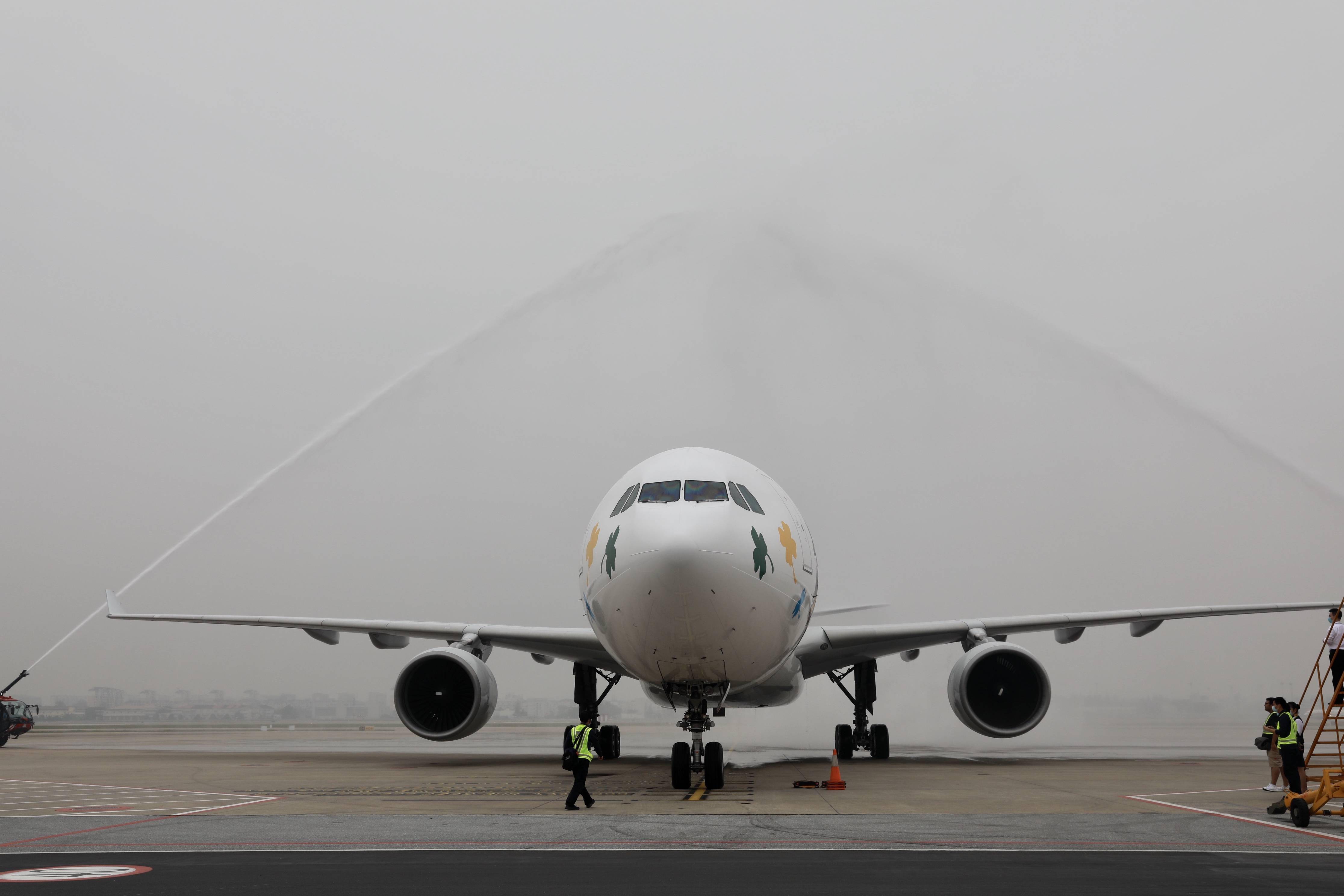 南航进博会主题彩绘飞机进博号在广州亮相