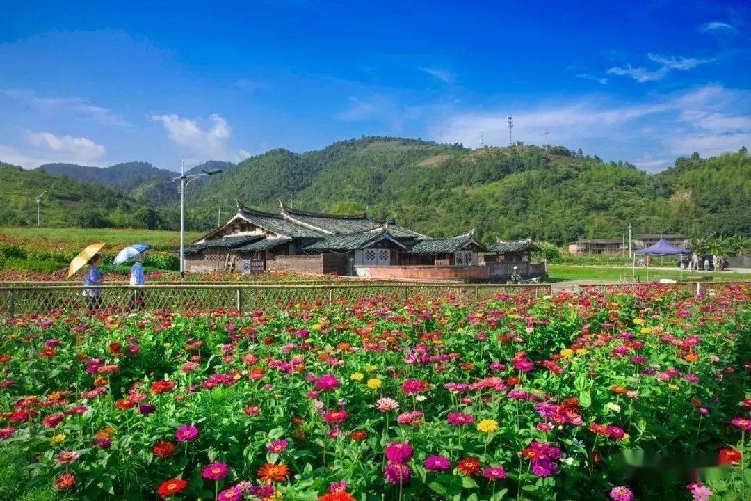 国庆中秋长假来临你要的大田景点在这里