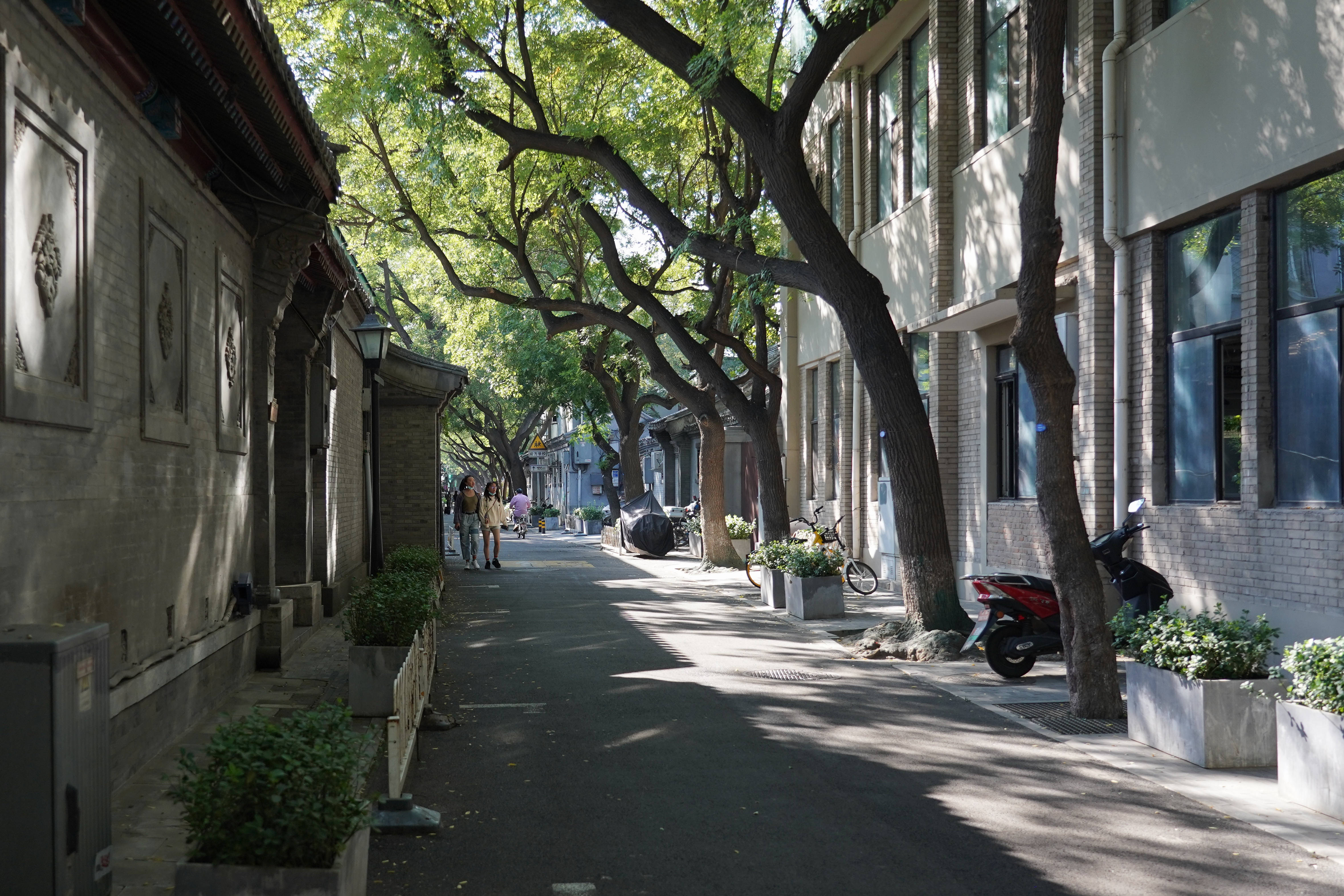 9月20日,行人走在北京市东城区东四街道首个"不停车街区"东四九条.