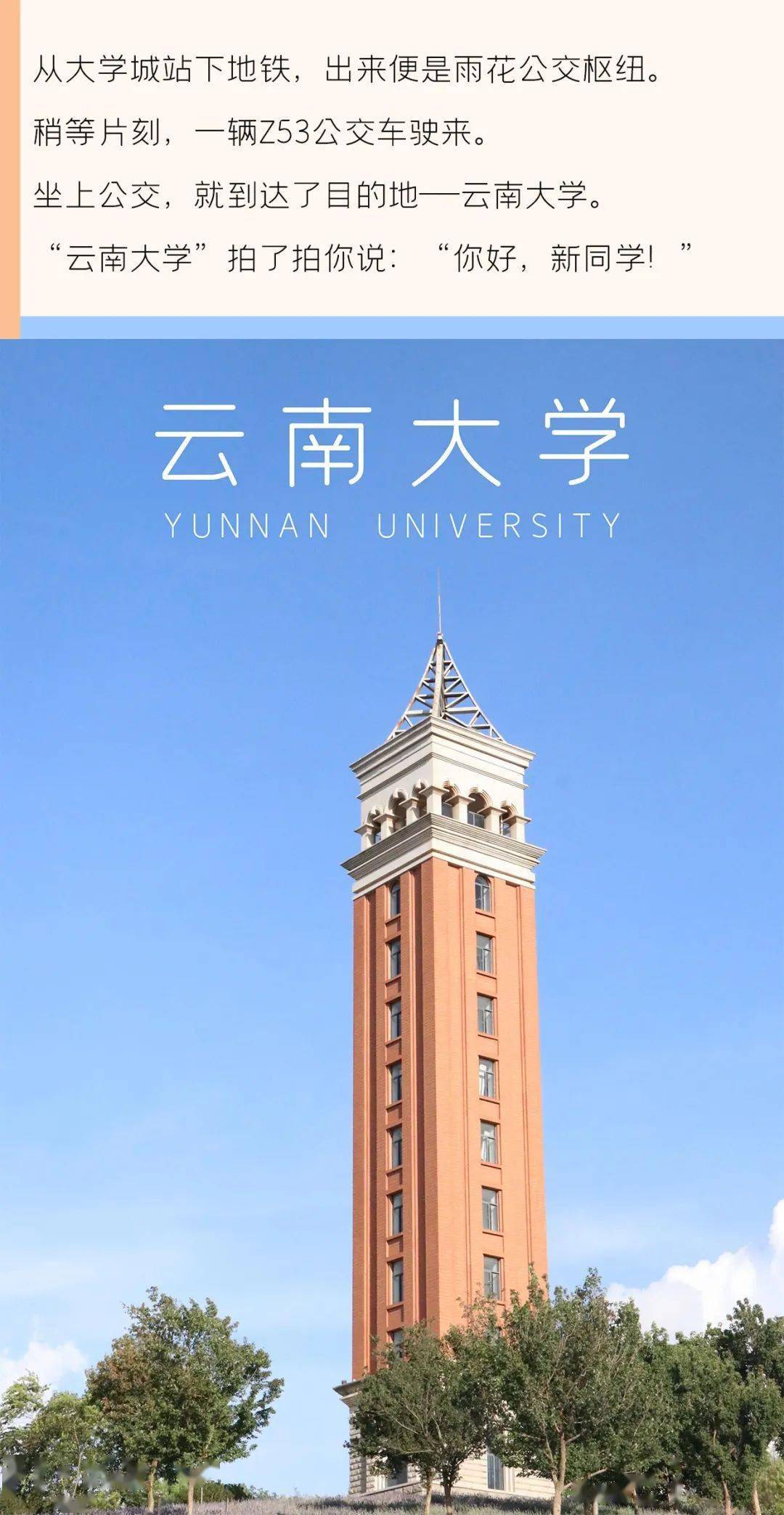 云南大学到底有多美