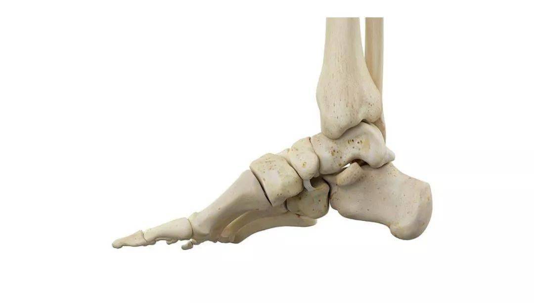 堪称天然减震器的足弓在瑜伽练习中如何激活它