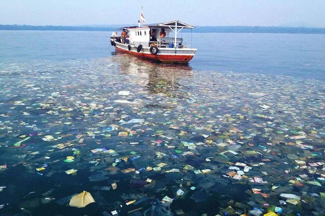 世界清洁地球日除了捡拾垃圾我们还能做什么