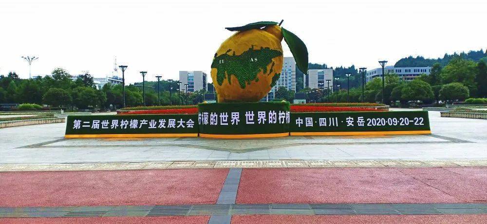作为第二届世界柠檬产业发展大会十分重要的分会场宝森柠檬小镇的柠檬