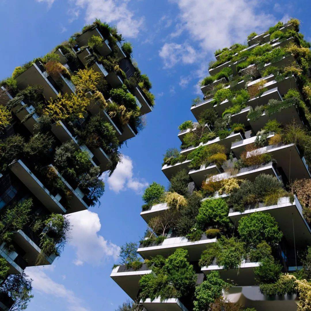 我方了成都惊现垂直森林