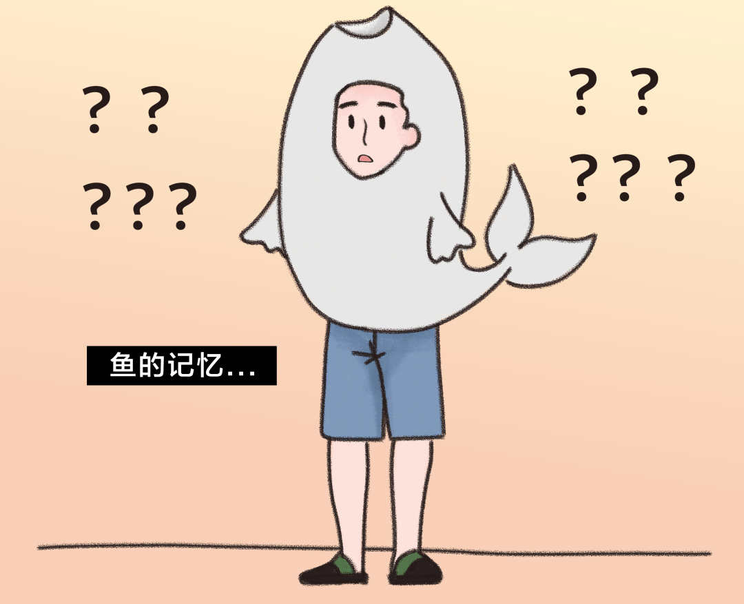 爱忘事记性不好我该怎么办