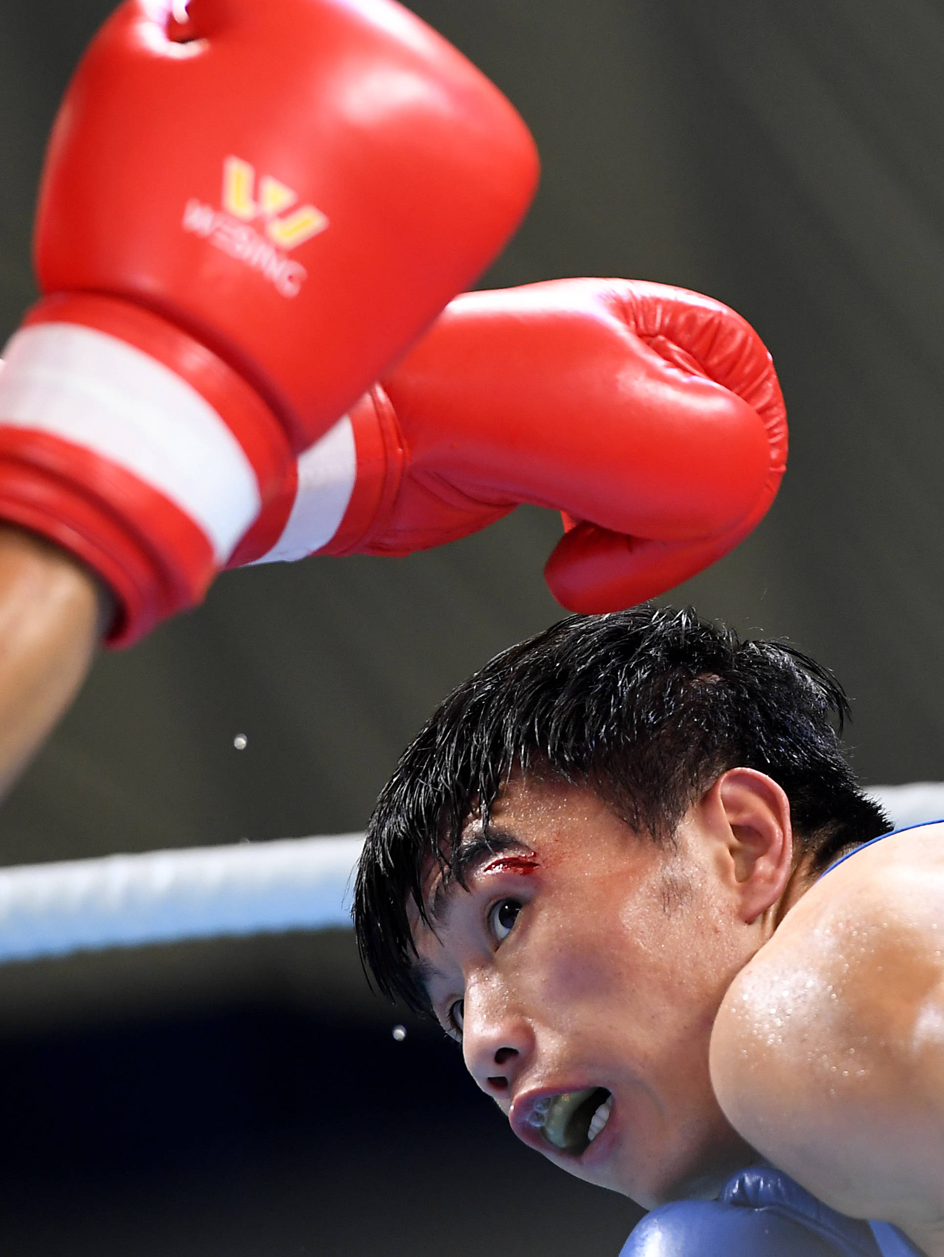 拳击全国男子拳击锦标赛胡建关夺得52公斤级冠军