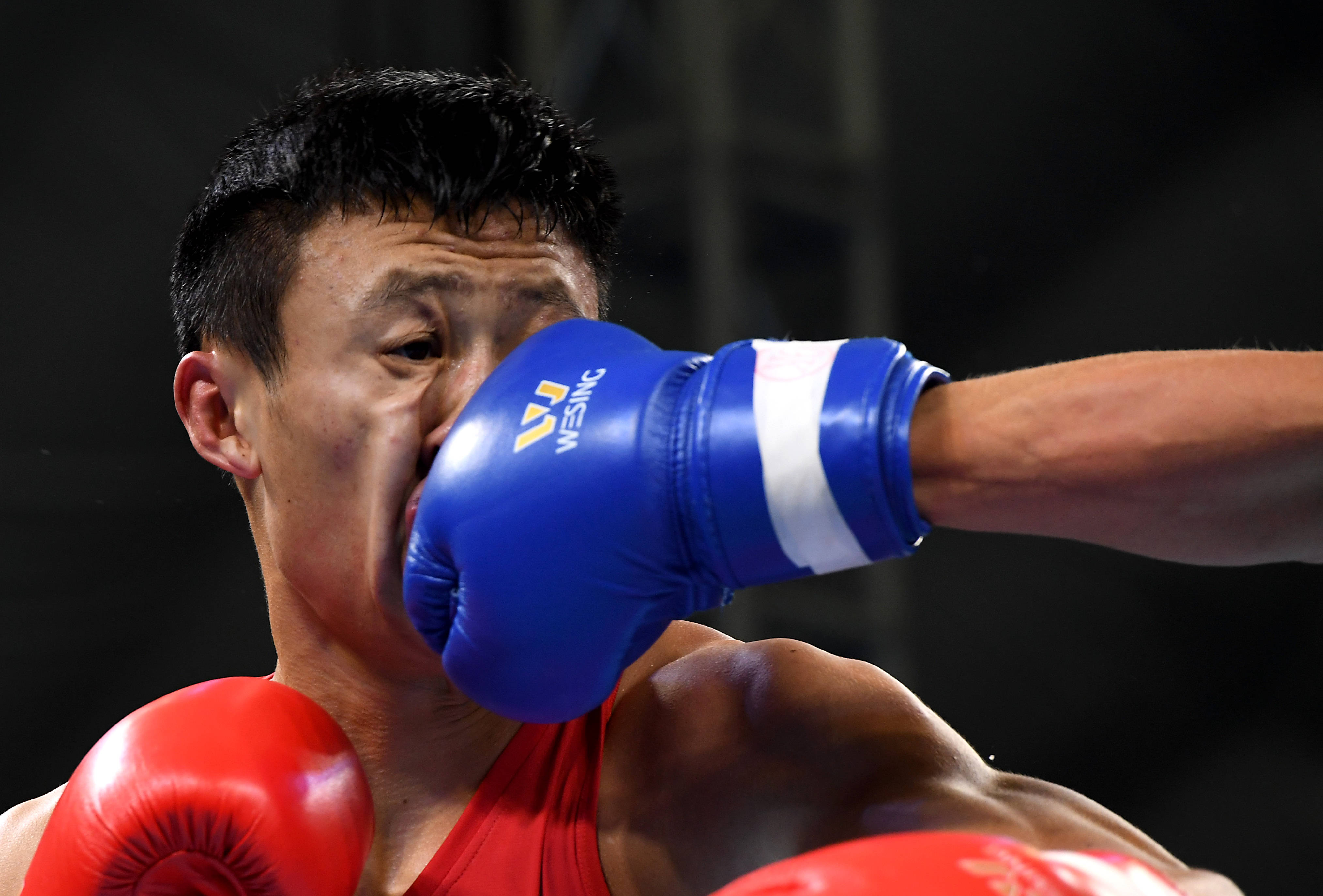 拳击全国男子锦标赛陈大祥夺得81公斤级冠军