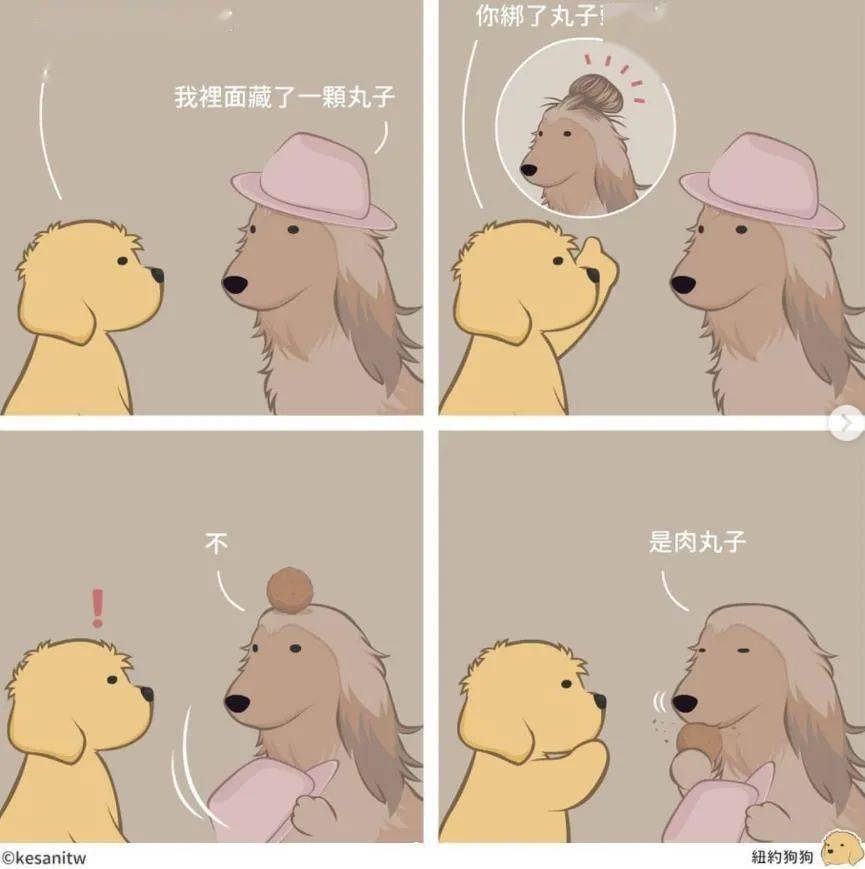 一本正经的搞笑最为致命这波无厘头漫画过于可爱了